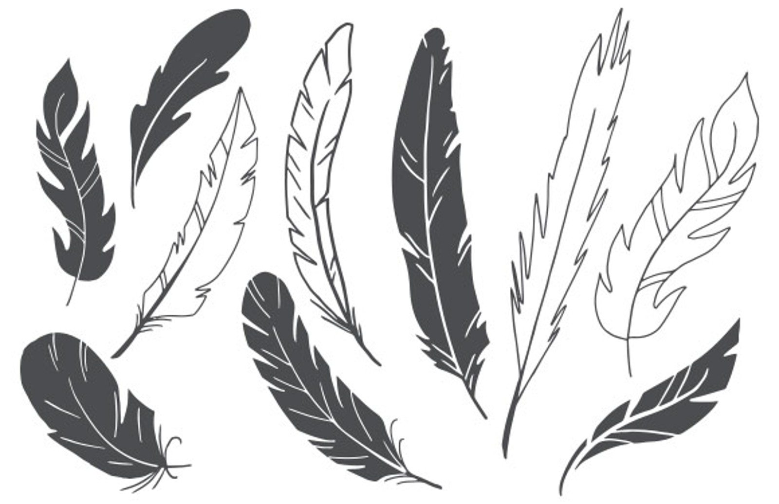 Download Hand Drawn Vector Feathers — Medialoot