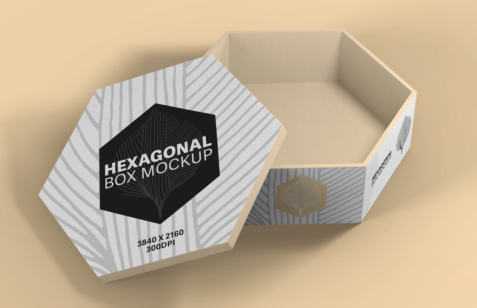 Download Hexagonal Box Mockup Medialoot