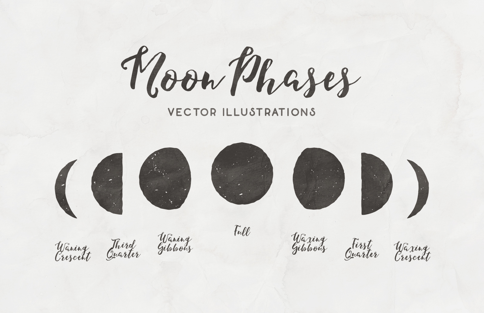 Download Moon Phases - Free Vector Illustrations — Medialoot