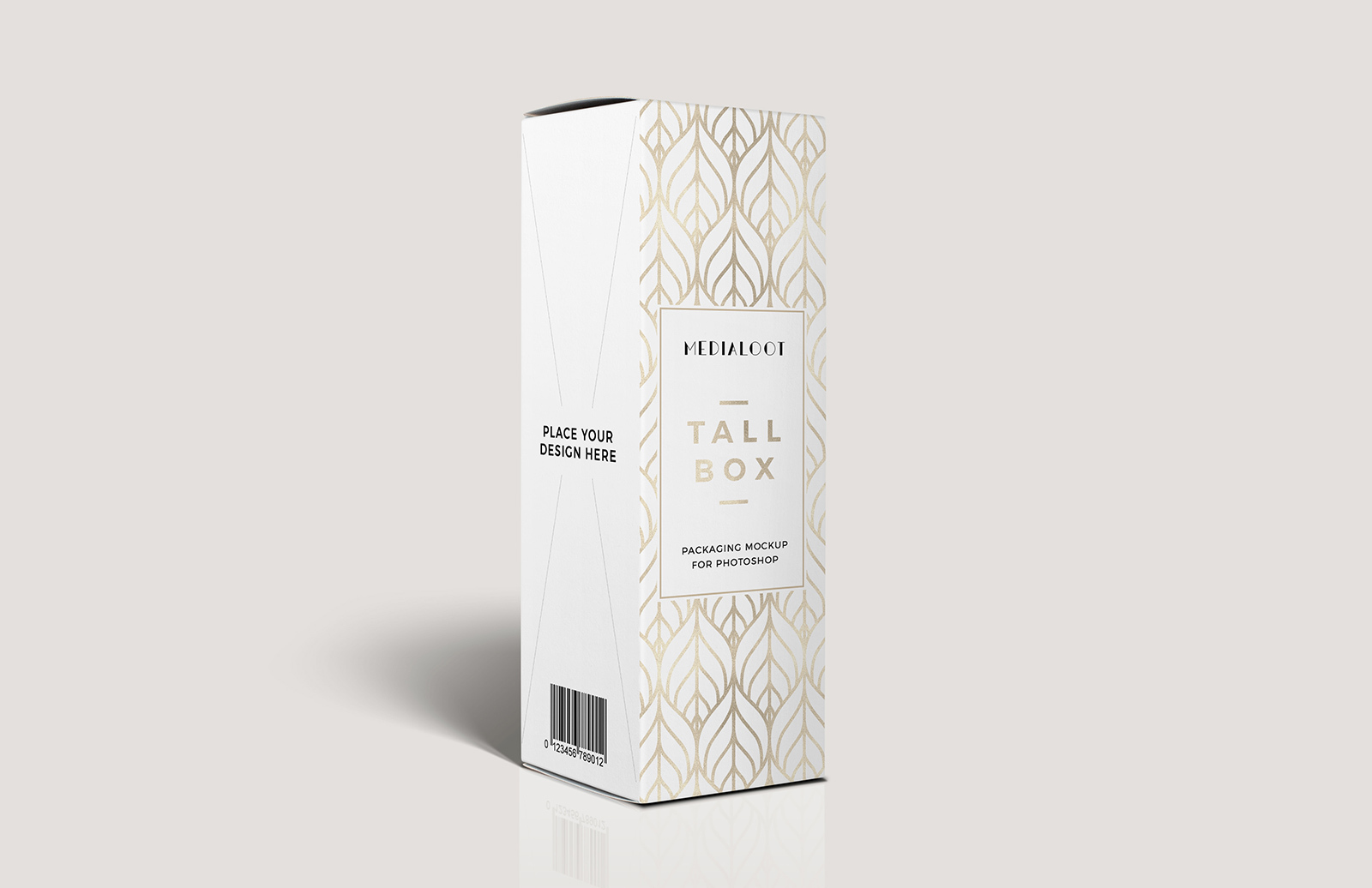 Download Tall Box Packaging Mockup For Photoshop Medialoot PSD Mockup Templates