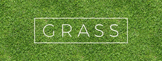 18 Seamless Grass Textures for Green Lawns and Pastures — Medialoot
