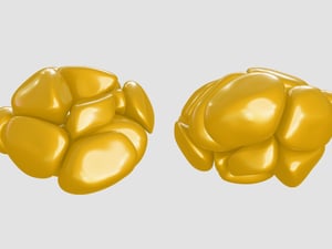 Organic Inflated 3D Objects 2