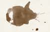 Coffee Stains - Brushes & Vectors
