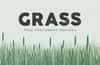 Free Grass Brushes for Photoshop