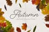 Isolated Autumn Leaves Collection