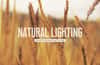 Natural Lighting Photoshop Action