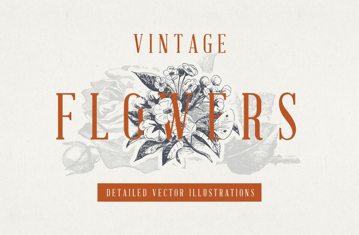 Vintage Floral Vector Illustrations