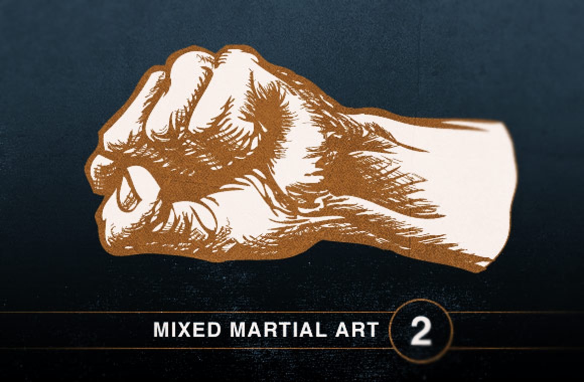 Mixed Martial Art Vol2