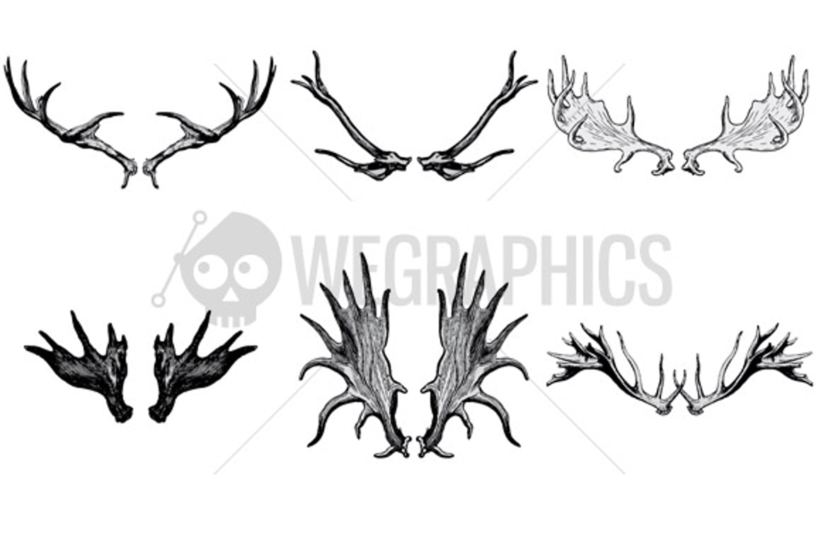 Deer's antler illustrations - WeGraphics