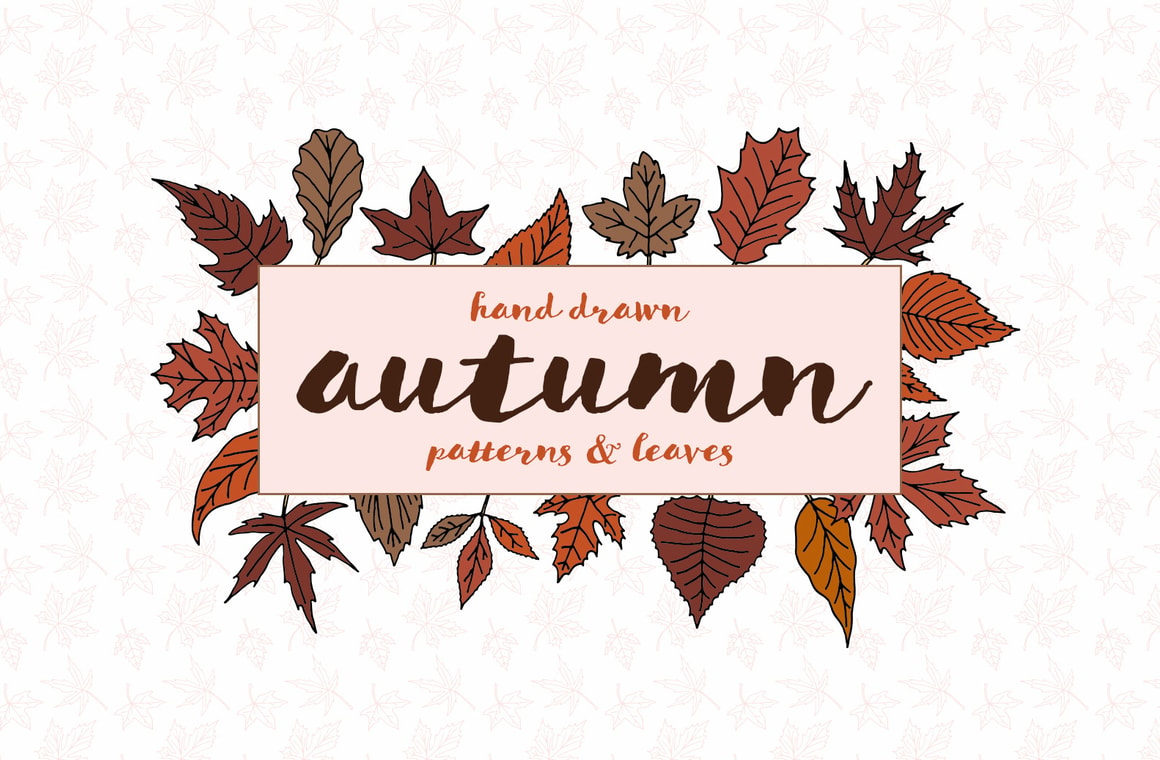 Hand Drawn Autumn Patterns & Leaves