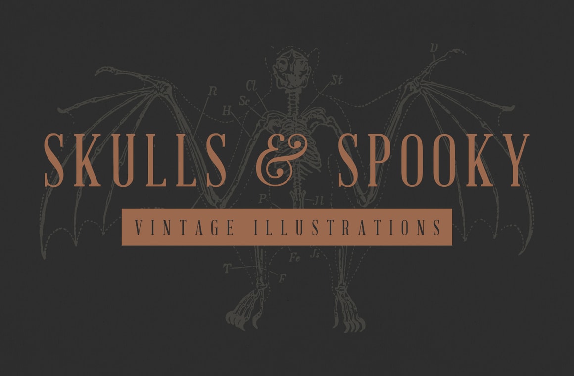 Vintage Skulls & Spooky Illustrations