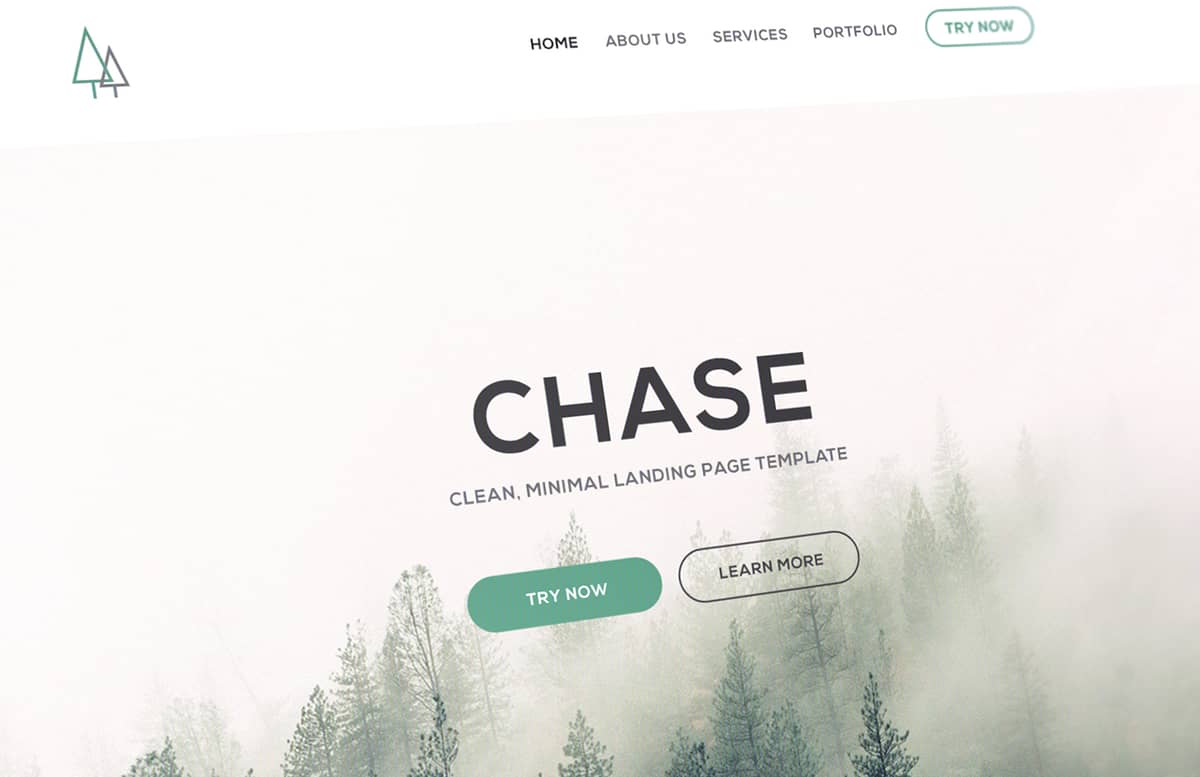 Chase  Landing  Page  Preview 1
