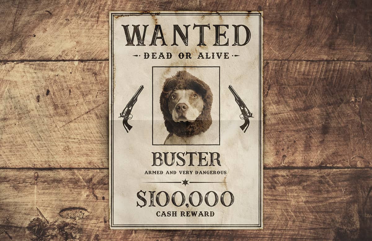 old west wanted poster template