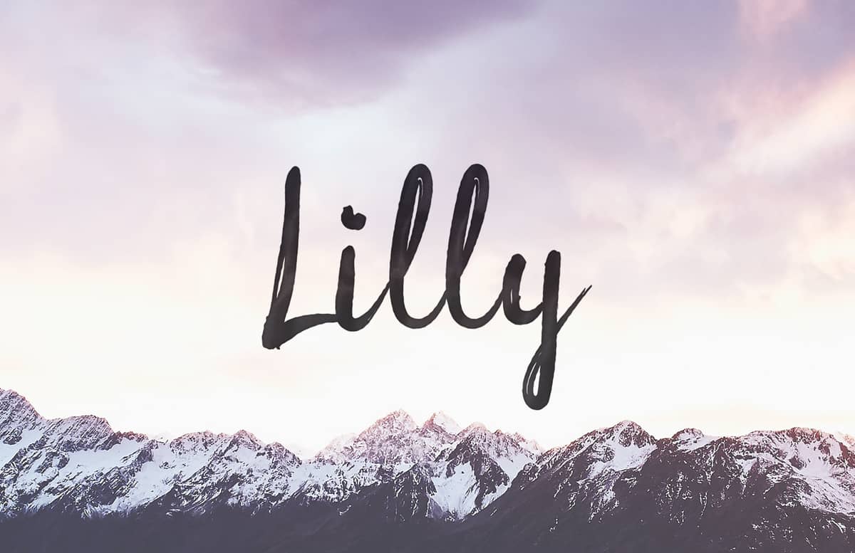 Lilly Free Brush Script Font Preview 1B