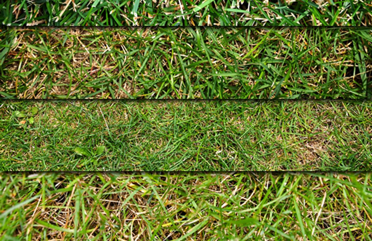 Grass Textures Preview