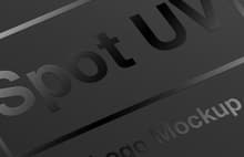 Download Spot Uv Logo Mockup Wegraphics