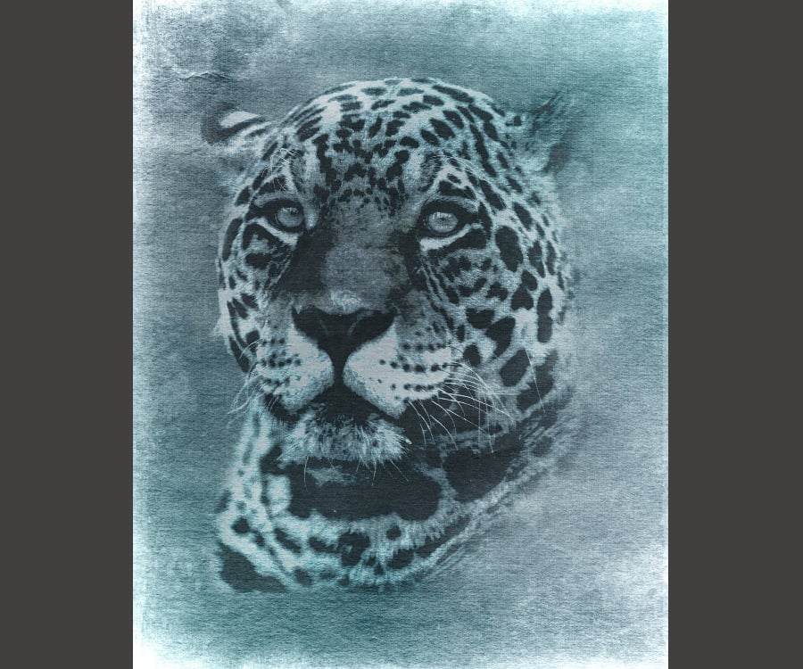 How I Painted a Realistic Leopard in Watercolor (Timelapse Demo