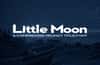 Little Moon - A Compressed Grunge Title Font