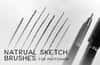 Natural Sketch Brushes for Photoshop