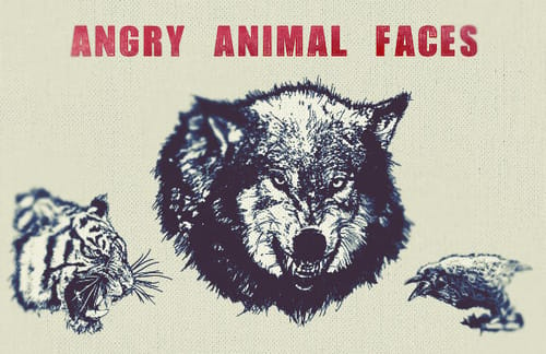 Angry Animal Face Vectors