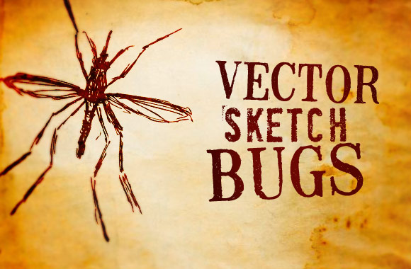Illustrated Bug Vectors