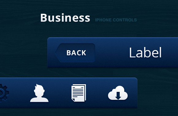 Business iPhone Controls