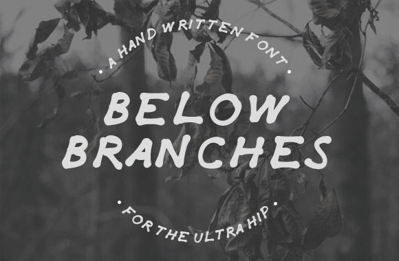 Detailed Vector Branches