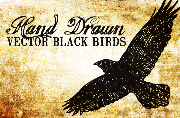 20 Hand Drawn Vector Black Birds