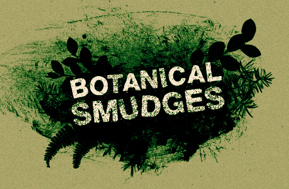 Botanical Smudges - Brushes and Vectors