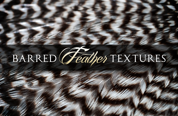 Barred Feather Textures