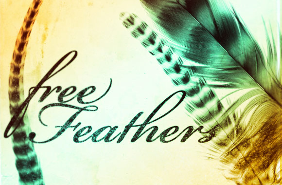 Free Feathers Photoshop Brush Set