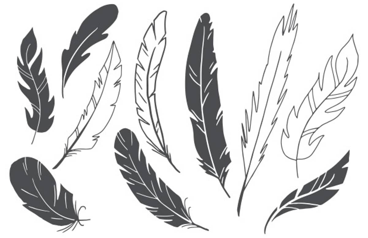 Feathers Slide3