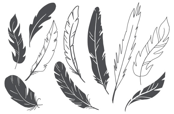Hand Drawn Vector Feathers