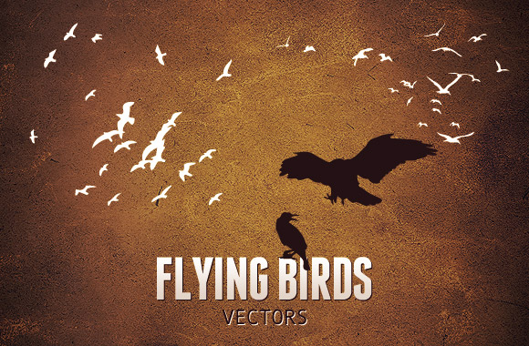Flying Birds Vector Set