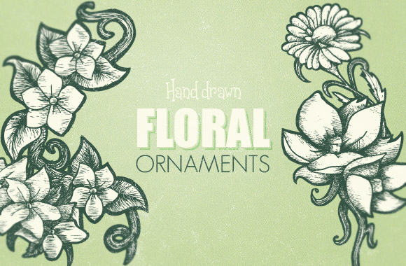 Hand Drawn Floral Ornaments