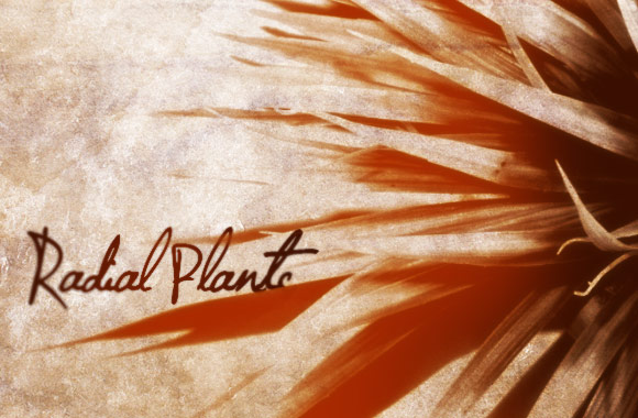 Radial Plants Brush Set