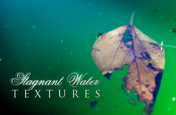 Stagnant Water Texture Set