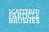 Scattered Particle Brushes for Illustrator