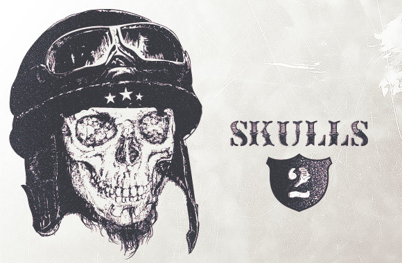 Highly detailed skulls vol2