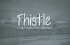 Thistle - A Light Handwritten Web Font
