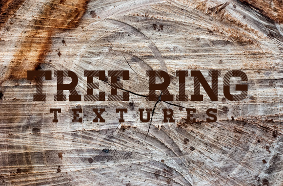 Tree Ring Texture Collection