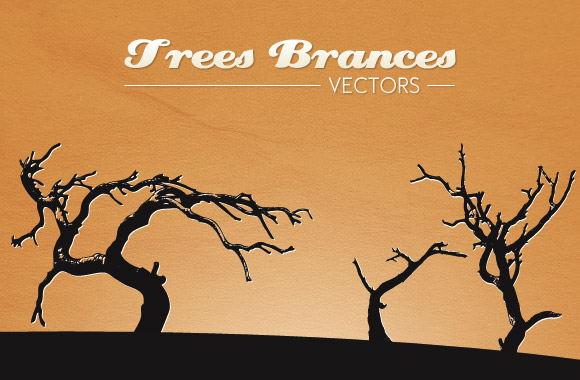 Trees Branches