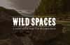 Wild Spaces - Wilderness Font Face