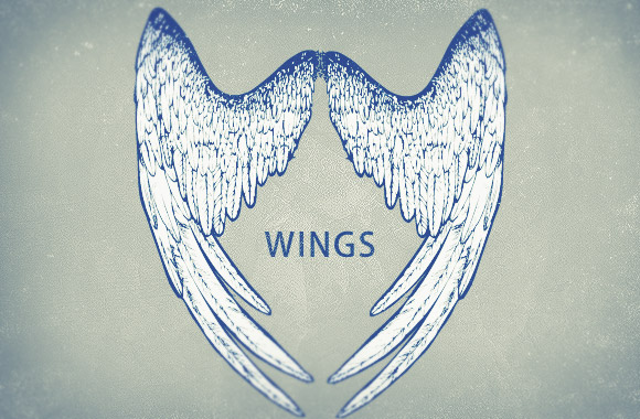 Highly detailed wings