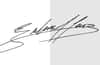 How to Easily Make Your Vector Digital Signature
