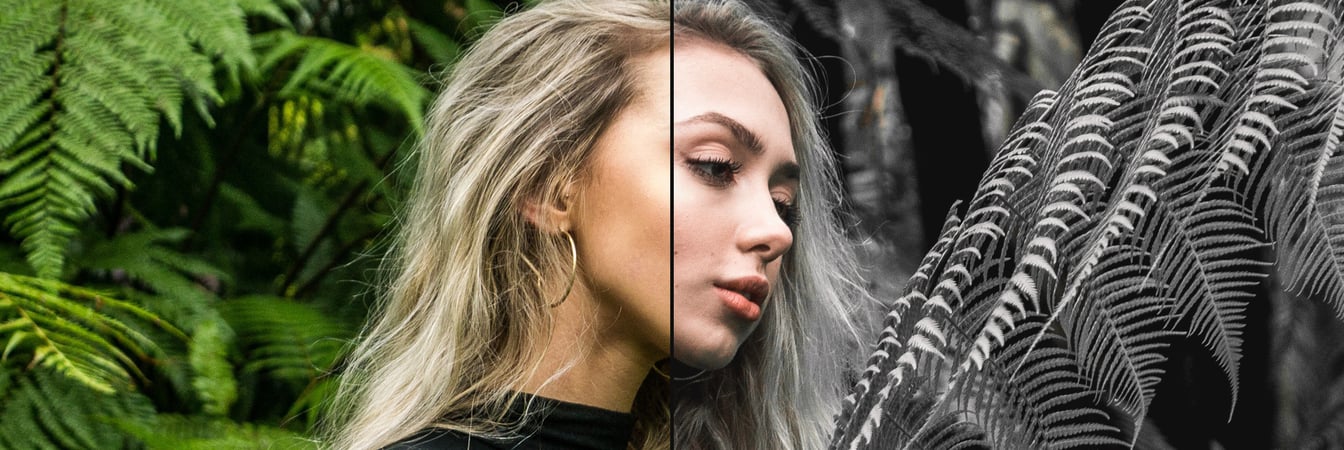 How to Easily Make a Black Moody Photo Effect in Photoshop