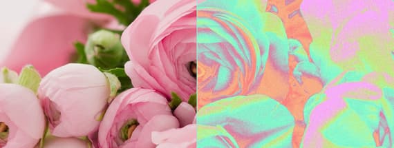 How to Make a Mind-Bending Color Photo Effect in Photoshop