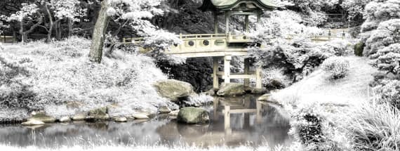 How to Make a Fake Color Infrared Effect in Photoshop