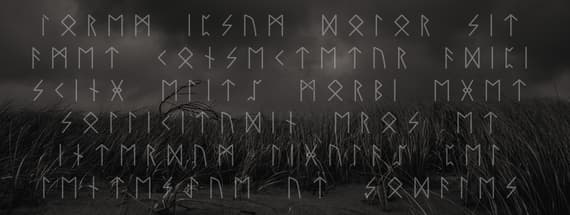 8 Nordic Runes Symbols Fonts and Typefaces