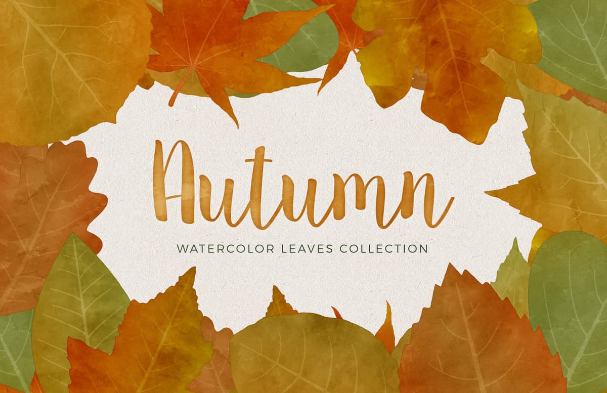 Autumn  Leaves  Collection  Preview 1